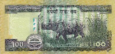 Beschrijving achterzijde: RHINOSERUOS